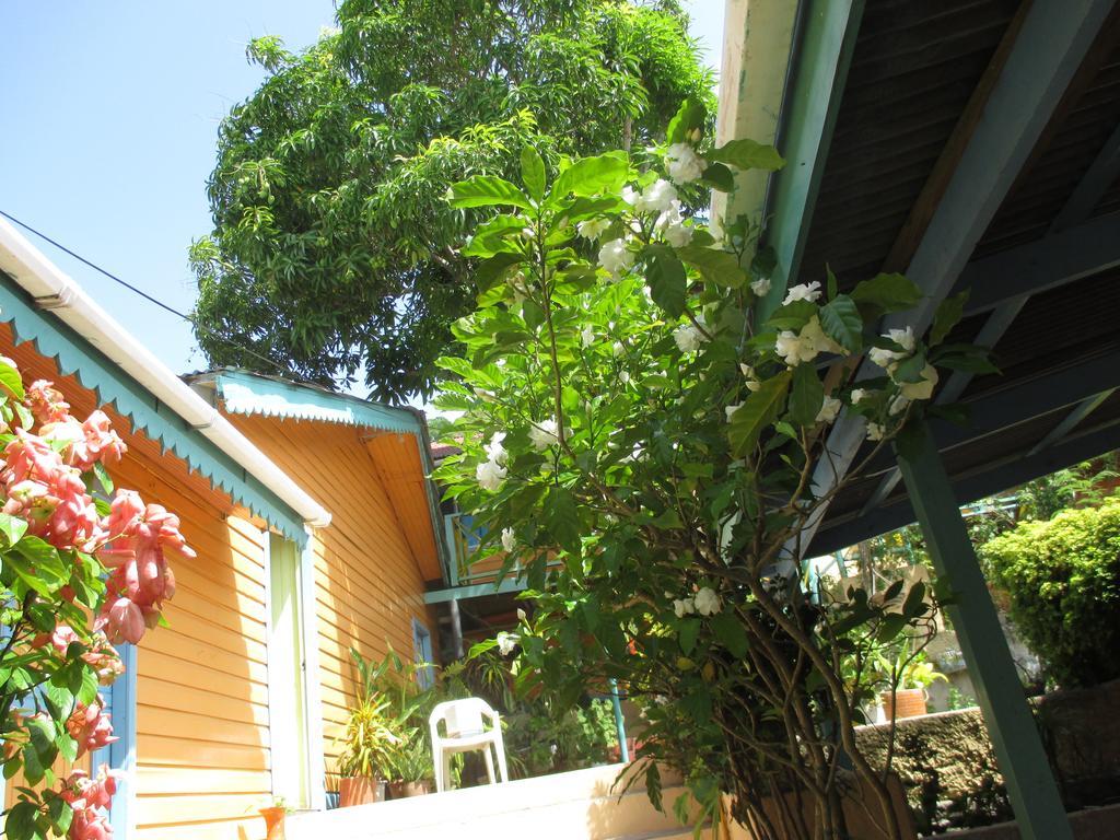 Hotel Flemming Tree Providencia Island Exterior photo