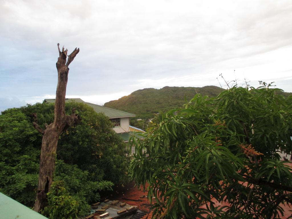 Hotel Flemming Tree Providencia Island Exterior photo