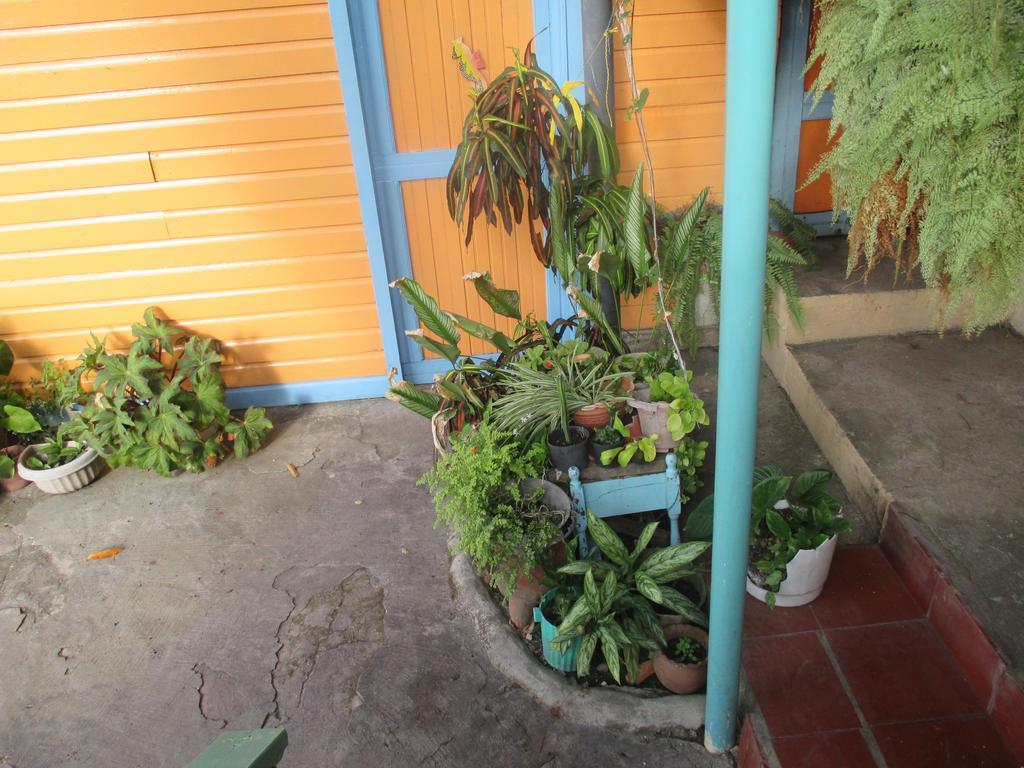 Hotel Flemming Tree Providencia Island Exterior photo
