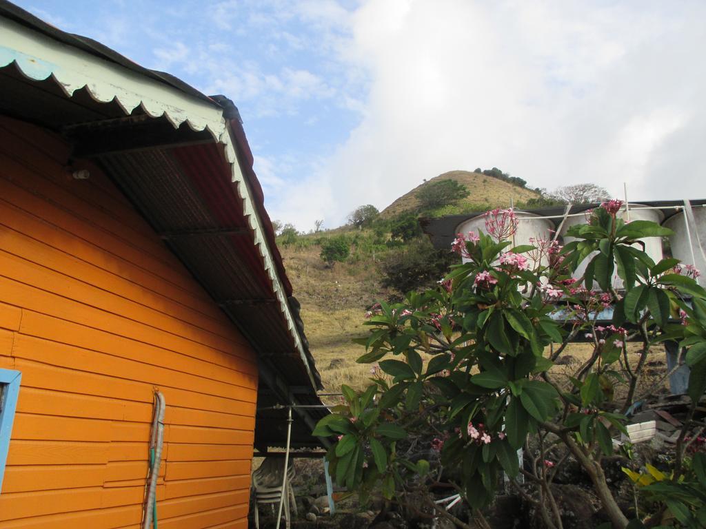 Hotel Flemming Tree Providencia Island Exterior photo