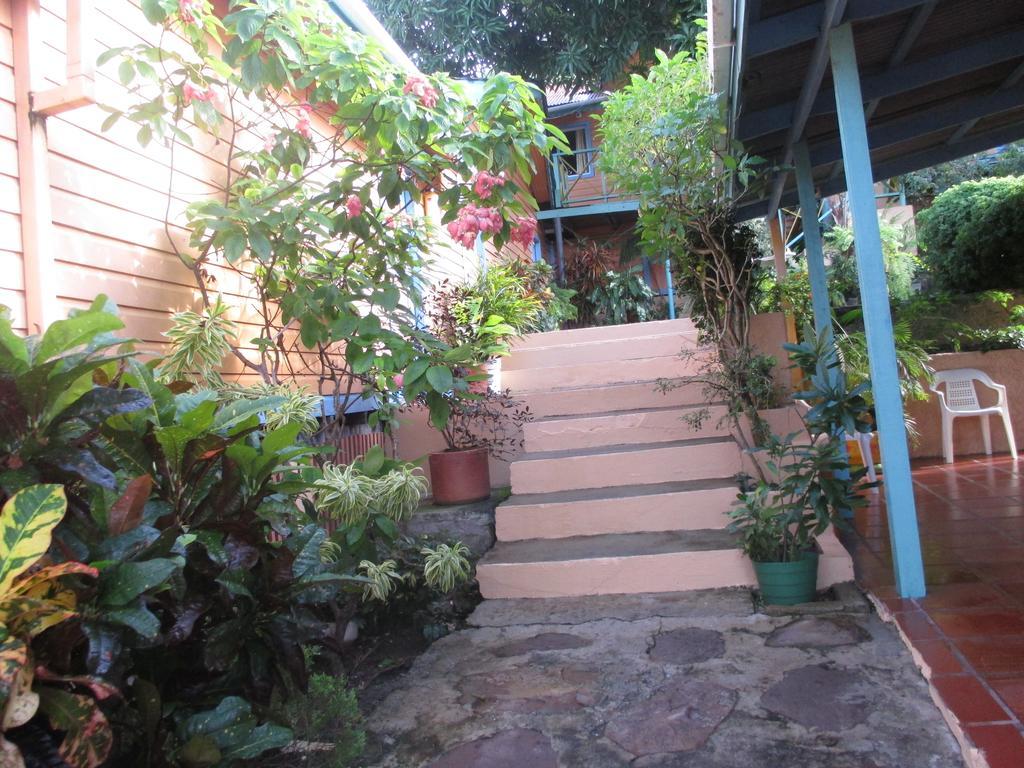Hotel Flemming Tree Providencia Island Exterior photo