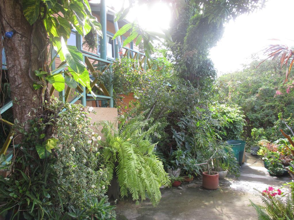 Hotel Flemming Tree Providencia Island Exterior photo