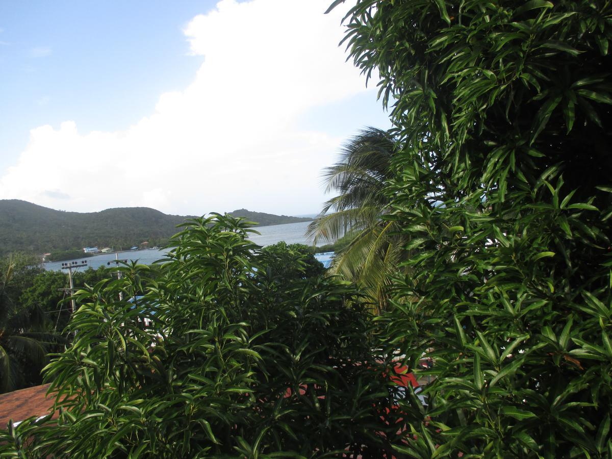 Hotel Flemming Tree Providencia Island Exterior photo